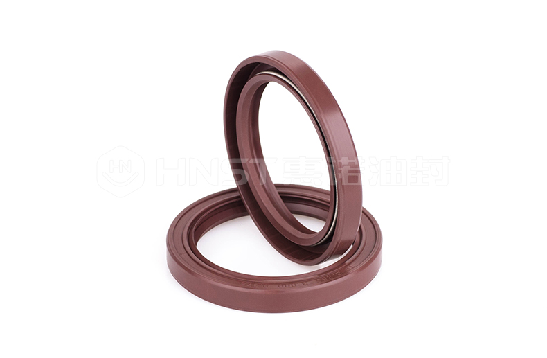 TC型進(jìn)口氟膠骨架油封實(shí)拍圖