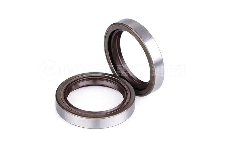 TA型進(jìn)口氟膠骨架油封實(shí)拍圖