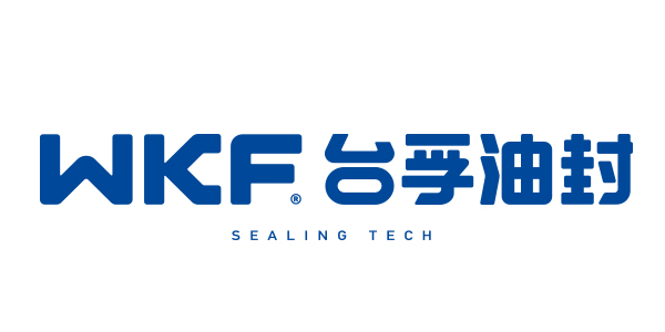 臺(tái)灣WKF骨架油封